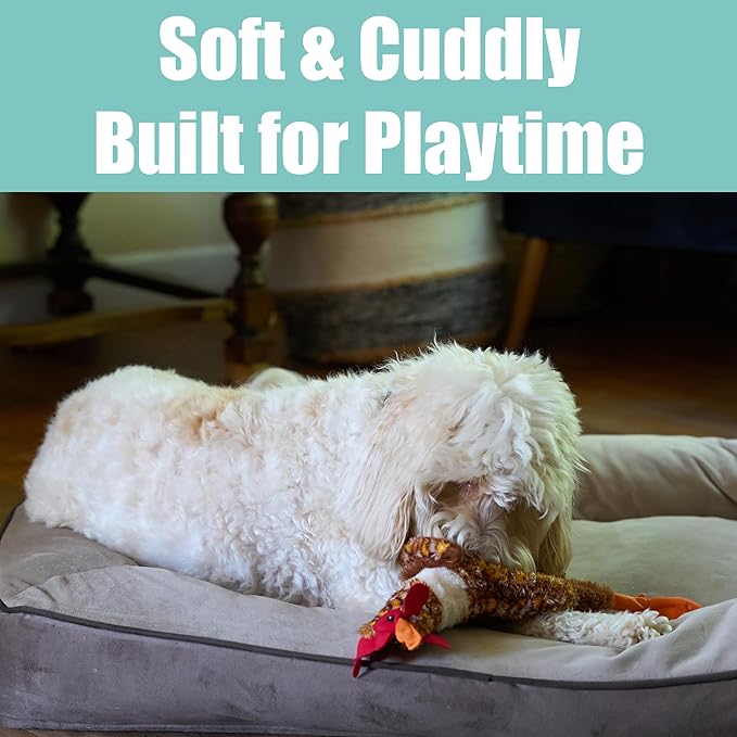 SPOT Skinneeez Chicken 17" Stuffing-Free Plush Dog Toy with Honking Squeaker – Soft, Floppy & Mess-Free Interactive Toy for Medium & Large Dogs – Ideal for Light & Moderate Chewers