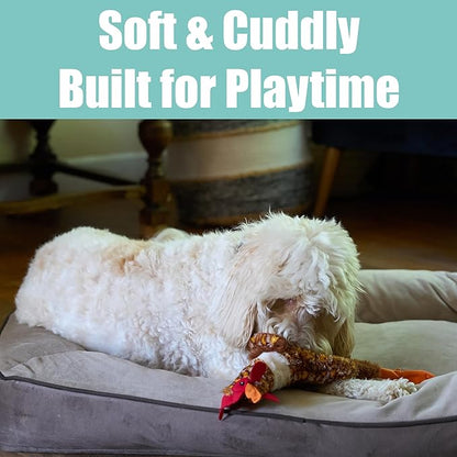 SPOT Skinneeez Chicken 17" Stuffing-Free Plush Dog Toy with Honking Squeaker – Soft, Floppy & Mess-Free Interactive Toy for Medium & Large Dogs – Ideal for Light & Moderate Chewers