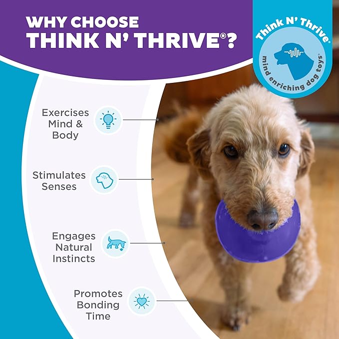 Outward Hound by Planet Dog Lil' Snoop Interactive Treat Dispensing Dog Toy, Small, Purple