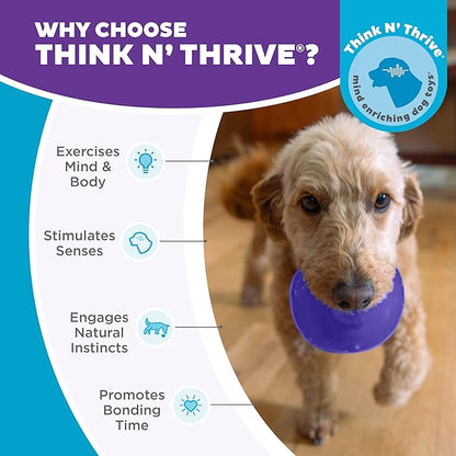 Outward Hound by Planet Dog Lil' Snoop Interactive Treat Dispensing Dog Toy, Small, Purple