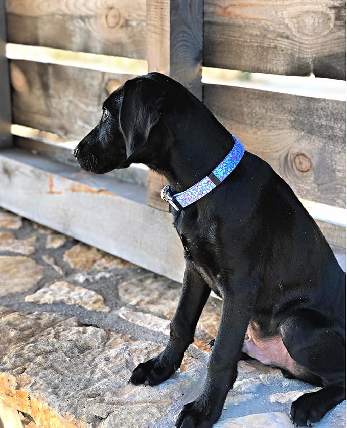 Lucky Love Dog Collar, Cute Winter Dog Collars for Large Dogs, Blue Snowflake Dog Collar for Male and Female Dogs, Part of Purchase Donated to Dog Rescue - (Winterblue Collar, L)