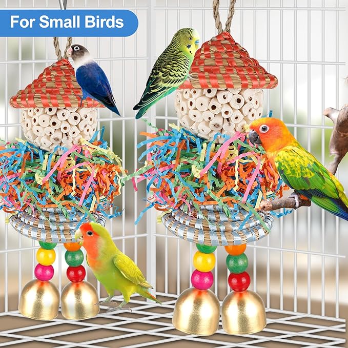 BBjinronjy 2PCS Bird Toys Parrot Foraging Shredder Hanging Toys Sola Balls with Bell for Small Parrots Parakeets Cockatiel Conures Love Birds Budgie Cage Toy