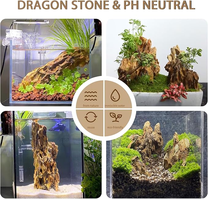 Dragon Rocks Aquariums Stones Natural Rocks for Aquascaping, Aquariums, Terrariums, Vivariums Decorative Stone,Reptile Enclosures,Paludariums,and Gardens-10LBï¼2 to 7 inchï¼