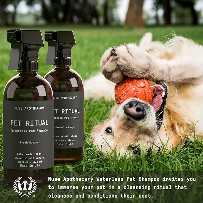 Muse Apothecary Pet Ritual Aromatic Waterless Shampoo for Pets - No Rinse Dog Shampoo - Waterless Shampoo for Cats - Waterless Dog Shampoo for Large Dogs - Essential Oils Infused, 16oz Lavender Fields