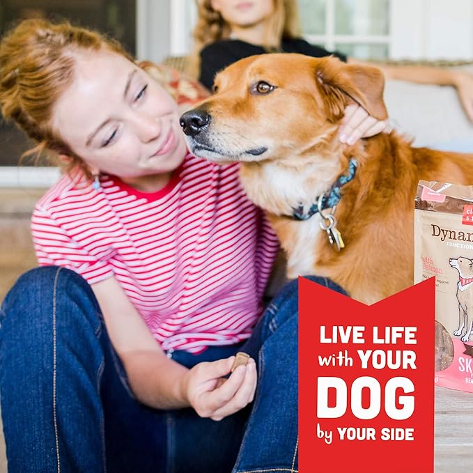 Cloud Star Dynamo Dog Skin & Coat Soft Chews Grain Free Dog Treats, Salmon, 14 oz. Pouch