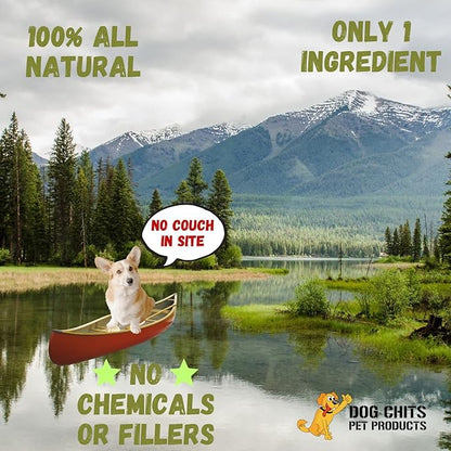 Dog Chits Lamb Esophagus for Dogs - Dog and Puppy Chews | Amazing for Joints | 6 in, 15 Pack | Made in USA | Large and Small Dogs | Nothing Added | Lots of Natural Glucosamine