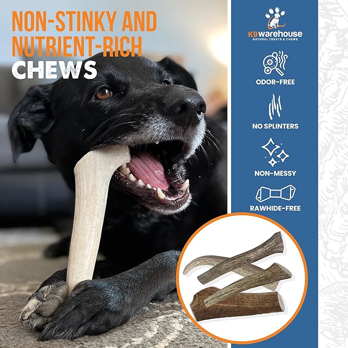 Elk Antlers for Dogs - Dog Antlers for Aggressive Chewers - USA Sourced Elk Antler for Dogs to Promote Oral Health - Long Lasting Antler Chews for Small, Medium, Large & XLarge Dogs
