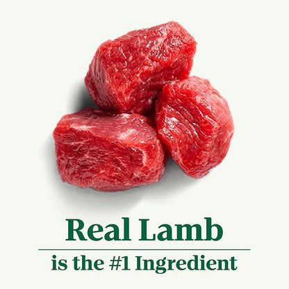 NUTRO NATURAL CHOICE Large Breed Puppy Dry Dog Food, Lamb & Brown Rice Recipe Dog Kibble, 30 lb. Bag