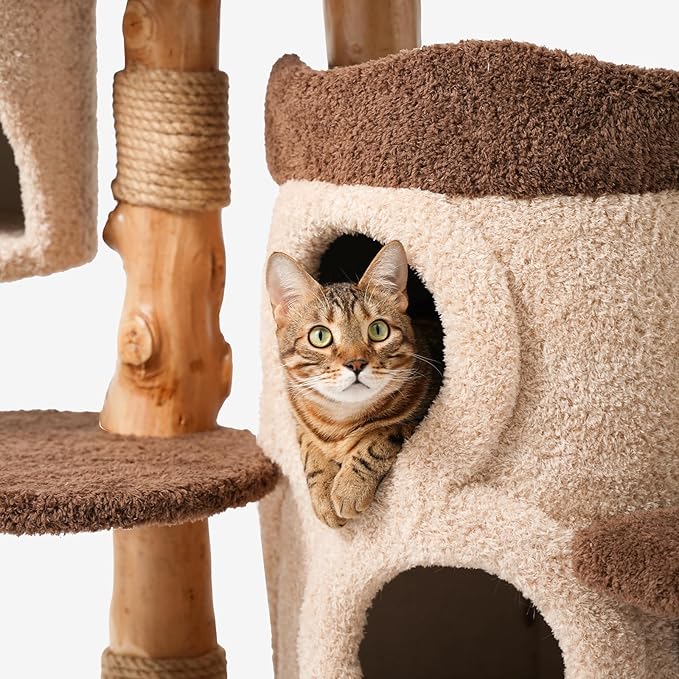 68 Inch Tall Mid Century Modern Solid Wood Cat Tree Tower for Indoor Cats Large Adult, Sturdy Heavy-Duty Cat Condo with Scratching Post, Perch, Scratcher, Platform, Cozy Hideaway (Brown, 68“H)