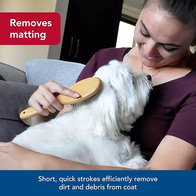 Coastal Pet Safari Wire Pin Dog Brush with Bamboo Handle - Large - General Dog Grooming Brush for Short and Long Hair - Eco-Friendly Handle