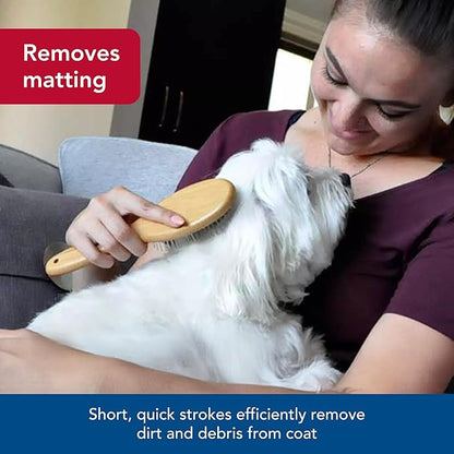 Coastal Pet Safari Wire Pin Dog Brush with Bamboo Handle - Large - General Dog Grooming Brush for Short and Long Hair - Eco-Friendly Handle