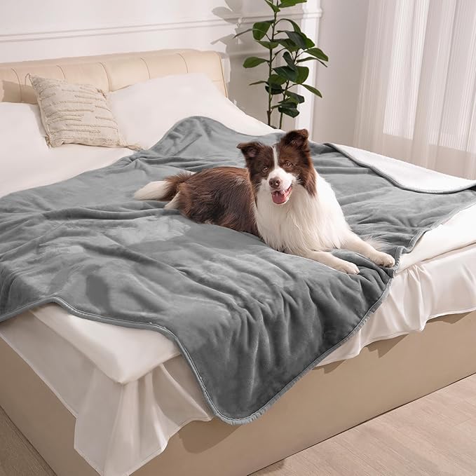 gogobunny Waterproof Bed Blanket, Reversible Sherpa Fleece Throw Blanket for Dog Puppy Cat, Furniture Cover Protects Bed Couch Sofa from Liquid Pee and Pet Fur (Grey, 60x80 inches)