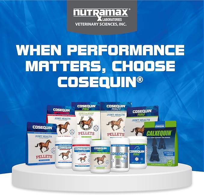 Nutramax Cosequin ASU Joint Health Supplement for Horses - Powder with Glucosamine, Chondroitin, ASU, and MSM, 1320 Grams