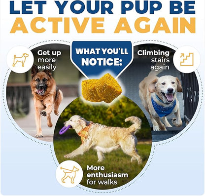 Jope Hip & Joint Supplement for Dogs Large, Medium, Small - Joint Chews w/UC-II® Collagen - Proven Better Than Glucosamine Chondroitin in Canine Health - Veterinarian Formulated, Omega 3 & Curcumin