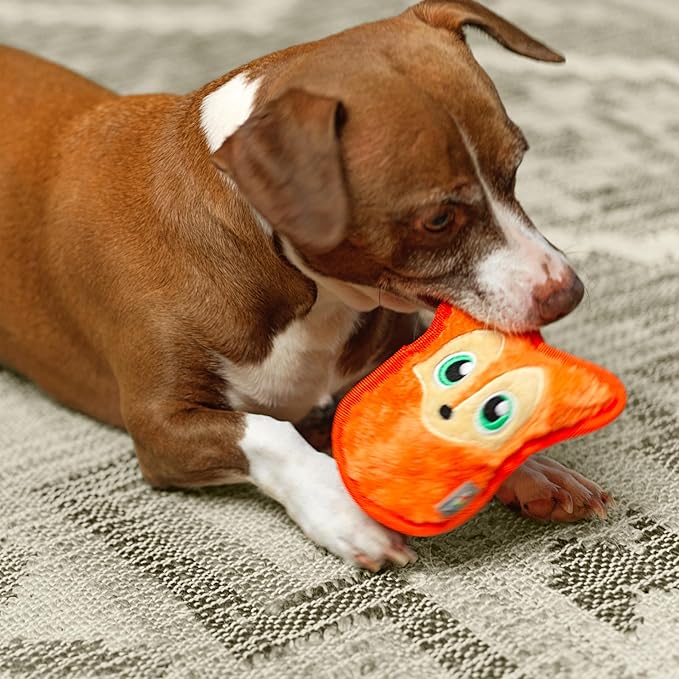 Outward Hound Durablez Minis Stuffing-Free Squeaky Plush Dog Toy for Puppies & Small Dogs - Interactive, Soft Yet Tough, No Mess, Jumbo Squeaker, Long-Lasting Play, Fox