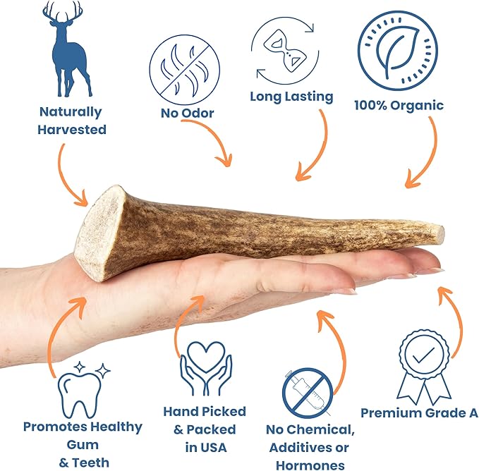 Elk Antlers for Dogs - Dog Antlers for Aggressive Chewers - USA Sourced Elk Antler for Dogs to Promote Oral Health - Long Lasting Antler Chews for Small, Medium, Large & XLarge Dogs