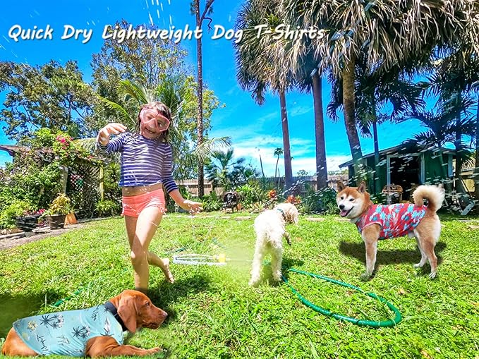 Dog Summer Cooling Shirts,Sun Protection Quick Dry Mesh Breathable Small Chihuahua Tee-Shirt,Red+Blue XS