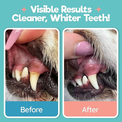 Dog Teeth Cleaning Wipes - Dog Tooth Brushing Kit - Dog Toothbrush Finger Wipes - Removes Plaque & Tartar, Dog Breath Freshener - No-Rinse Pet Dental Care for Dogs & Cats - Easy Use - 55 Count