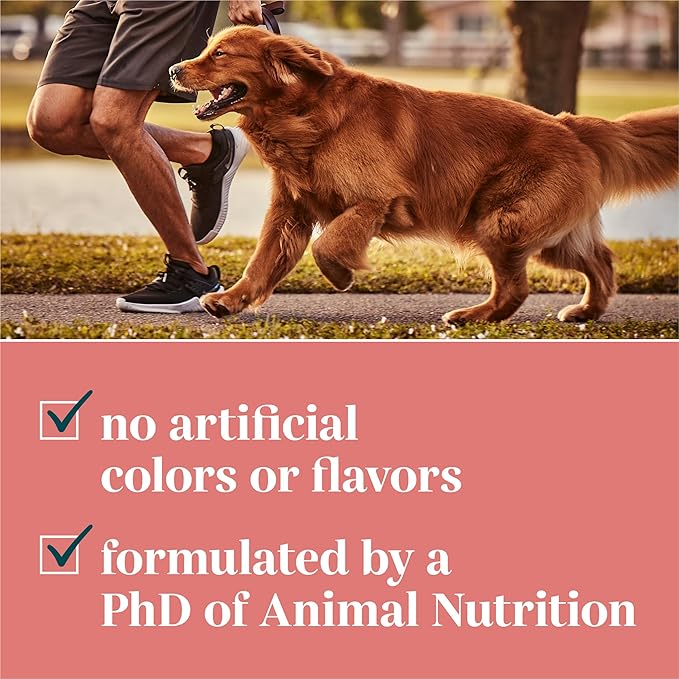 by Purina Digestion Dog Supplements Soft Chews - 10.6 oz. Canister