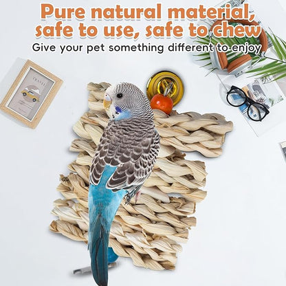 PINVNBY 3 Pack Parrot Toys Chewing Bird Toy Cuttlebone Beak Grinding Stone Cage Hanging Toys with Bell for African Greys Amazon Conure Eclectus Budgies Parakeet Cockatiel Hamster Chinchilla