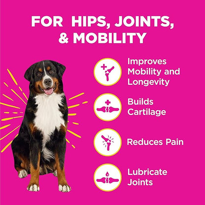 WildPaw WonderBites Hemp for HIPS, Joints, & Mobility -90 Soft Chews- Improves Mobility, Reduces Pain - Glucosamine, MSM, Hyaluronic Acid, Turmeric, & More – Joint Supplement for Dogs