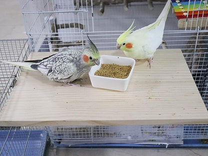 15.7_10.4 Inches Large Bird Perch Stand Platform, Natural Wooden Small Animals Cage Accessories, Rectangle Stand Perch Shelf for Parrot Parakeet Cockatiel Rat Hamster Guinea Pig Conure Chinchillas