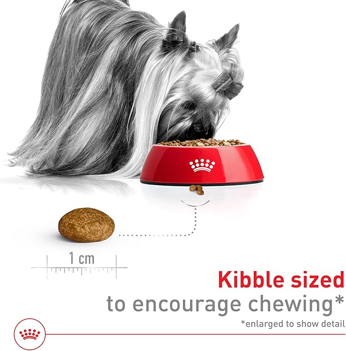 Royal Canin Size Health Nutrition X-Small 7+ Adult Dry Dog Food, 2.5 lb Bag