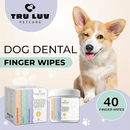 40 Dog Teeth Wipes - Dog Teeth Cleaning Products - Dog Dental Wipes - Teeth Cleaner for Dogs - Dog Tooth Cleaner - Dental Care for Dogs - Dog Tooth Brushing Kit - Dog Teeth Cleaning Kit - Dog Wipes