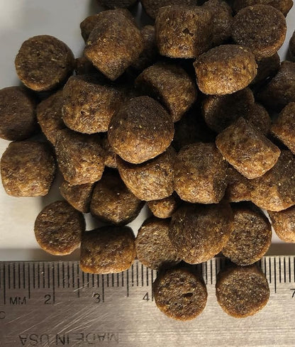 Regal Pet Foods Adult Sensi Bites Turkey Meal Recipe - All Natural, Limited Ingredient Dry Dog Food for All Breeds and Sizes of All Life Stages - Made in The USA, 13 LB Bag