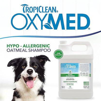 TropiClean OxyMed Hypoallergenic Dog Shampoo for Allergies and Itching, Skin Soothing Shampoo for Pets with Sensitive Skin, Tearless, Cat Safe, 1 Gallon