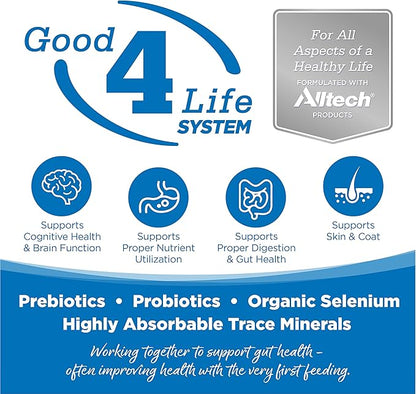 NutriSource Adult Dry Dog Food for Large Breeds, Chicken and Rice, 26LB