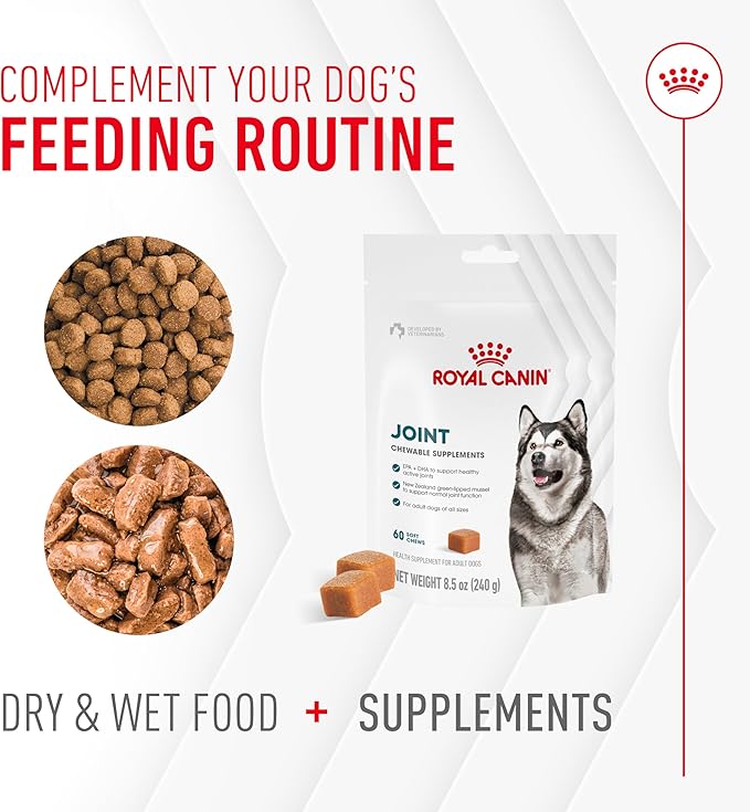 Royal Canin Joint Dog Supplement Soft Chews for Adult Dogs, 60 Count
