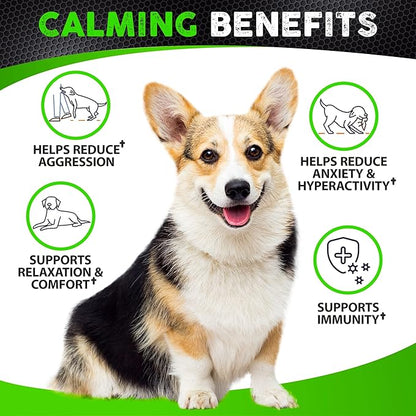 Hemp Calming Chews for Dogs Anxiety - 170 Dog Calming Chews - Anxiety Relief Treats - Dog Calming Treats - Hemp Oil - Sleep Calming Aid - Advanced Calming Health Joint Support Supplement - Made in USA