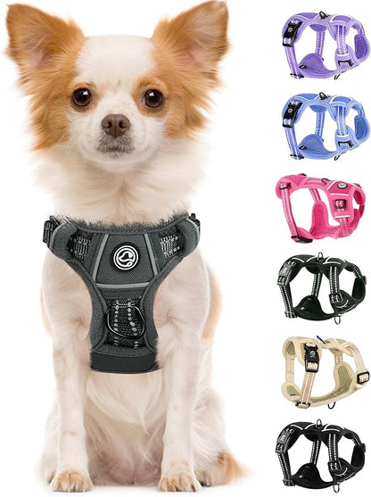Dog Harness Small Sized Dog, No Pull Pet Harness with 2 Leash Clips, Adjustable Soft Padded Dog Vest Harnesses, Reflective No-Choke Pet Oxford Vest