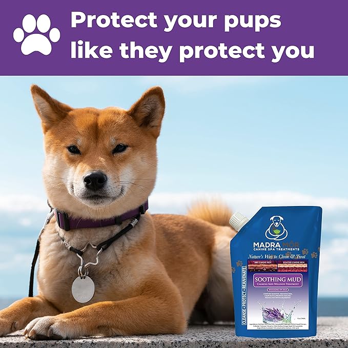 Worldwide Nutrition Bundle: Madra Mor Soothing Mud - Dog Essentials Mud Bath, Dog Grooming, Dry Skin for Dogs Treatment, Dog Coat Skin Care Products - 10oz Pouch & Multi-Purpose Key Chain
