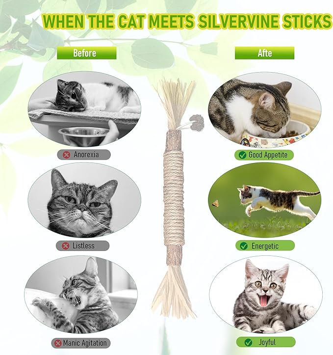 BAWAN Catnip Toys, Silvervine for Cats: Cute Kitten Toys for Indoor Interactive Play, Teething Chew Toys for Aggressive Chewers, Dental Toy Sticks (5PCS)