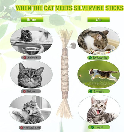 BAWAN Catnip Toys‖ Silvervine for Cats: Cute Cat & Kitten Toys for Indoor Cats Interactive‖ Cat & Kitten Teething Chew Toys for Aggressive Chewers‖ Silvervine Sticks Cat Dental Toy (1PCS)