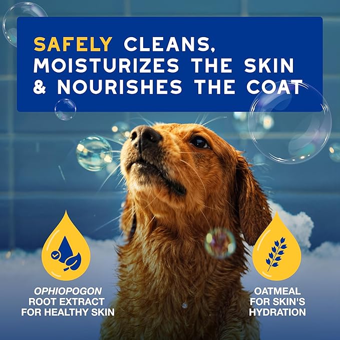 DOUXO® Skin & Coat SPA - Ultra-Safe Oatmeal Dog Shampoo, 16 fl oz, Cleans and Deeply Hydrates The Skin, Enhances The Coat, Leaves The Coat Soft and Radiant, Skin-Friendly Formula