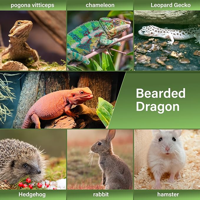 LIKZINWA Bearded Dragon Sling Carrier, Small Animal Carrier Lizard Carrier and Reptile Carrier with Adjustable Strap