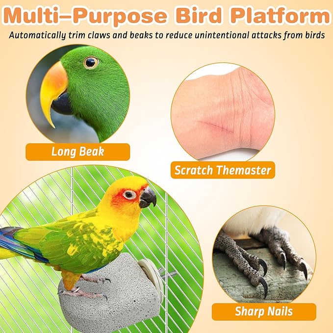 PINVNBY 6 PCS Bird Perch Bird Beak Grinding Stone Calcium Mineral Parrot Perch Foot Claws Trimmer Chew Toy Cage Accessories for Small Medium Budgie Cockatiel Conure Lovebird Finch