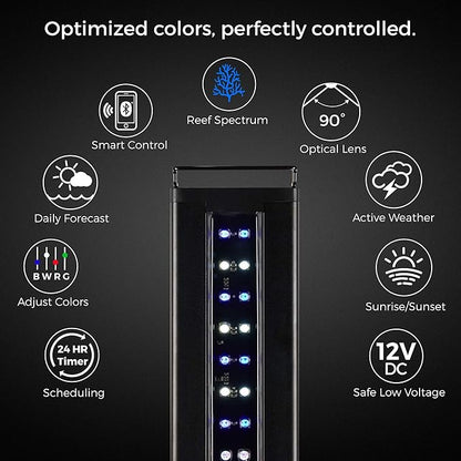CURRENT USA 24-36" Inch Orbit Marine IC Loop LED Saltwater Reef Marine Aquarium Light with Bluetooth App Control | Wireless Lighting & eFlux Wave Pump Control for Fish Tank (4205)