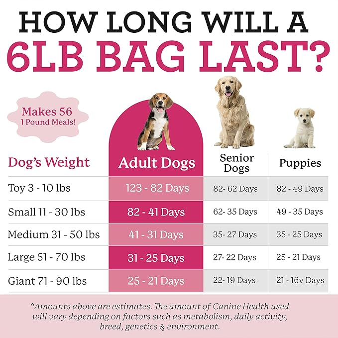 Dr. Harvey's Raw Vibrance Grain Free Dehydrated Foundation for Raw Diet Dog Food (Trial Size 5.5 Oz)