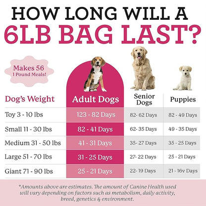 Dr. Harvey's Raw Vibrance Grain Free Dehydrated Foundation for Raw Diet Dog Food (Trial Size 5.5 Oz)