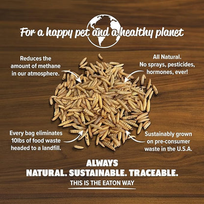 Eaton Pet and Pasture Premium Grubs, USA Grown Dried Black Soldier Fly Larvae, High Calcium Treat for Chickens, Ducks, Wild Birds (1 LB)