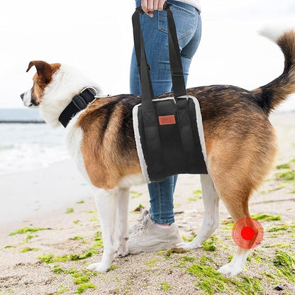 Adjustable Dog Lift Harness Dog Sling for Large Dogs Hind Leg Support Soft Lift Support and Rehab Harness for Weak Rear Legs, Helps Senior, Injured, Disabled and After ACL Surgery Dogs Large