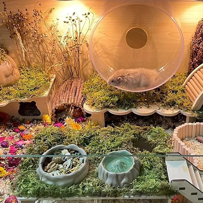 DR.DUDU 15L Forest Moss for Hamster Bedding Nesting, Syrian Gerbils Hamster Cages Accessories, Perfect for Small Animals Terrarium Moss