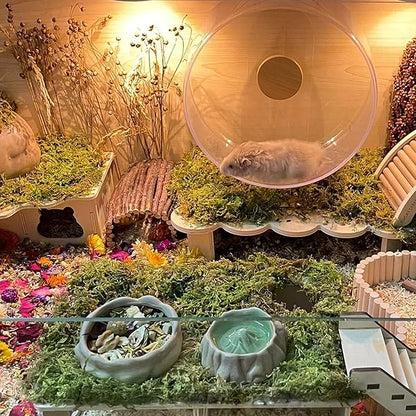 DR.DUDU 15L Forest Moss for Hamster Bedding Nesting, Syrian Gerbils Hamster Cages Accessories, Perfect for Small Animals Terrarium Moss