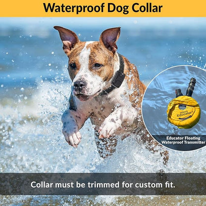 E-Collar  Educator ET-302-1/2 Mile Waterproof Remote Dog Training Collar Includes Premium Finger Clicker Trainer, 100 Programmable Levels + Vibration + Light + Sound