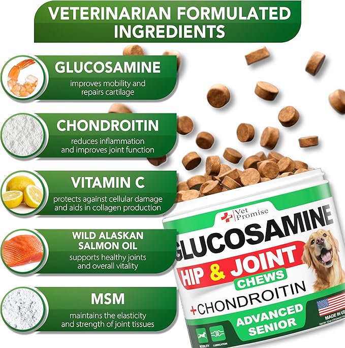 Advanced Glucosamine for Dogs - 170 Chews - Senior Hip and Joint Supplement for Dogs - Glucosamine Chondroitin - Dog Joint Health Pain Relief Pills - MSM - Mobility Support Supplement - Made in USA