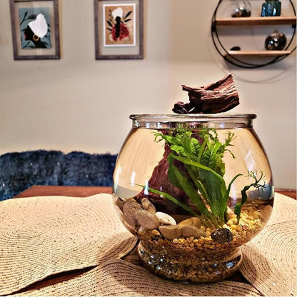 2 Pcs Natural Large Driftwood for Aquarium, Aquarium Driftwood Freshwater 12-16 Inch, Assorted Size Mopani Wood, Twisted Branches for Fishtank Accessories, Reptile Terrariums Decorations